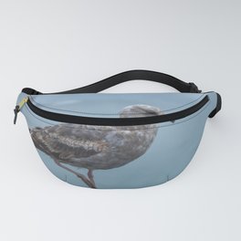 Young Gull Walking Fanny Pack