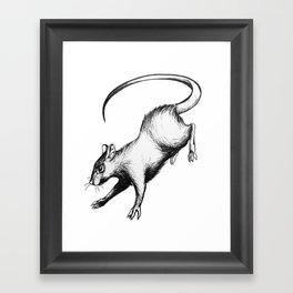 Stray Rat Framed Art Print