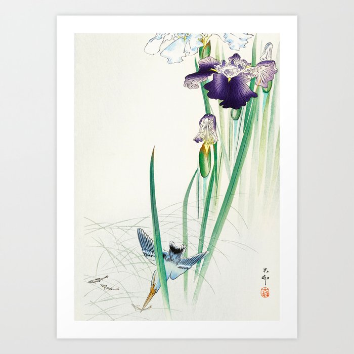 Kingfisher going underwater for fish  - Vintage Japanese Woodblock Print Art Art Print