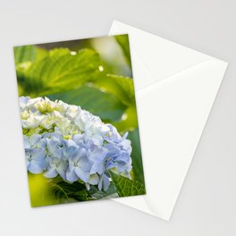 Blue and yellow flower, Hydrangea, cute and beautiful blossom. Stationery Card