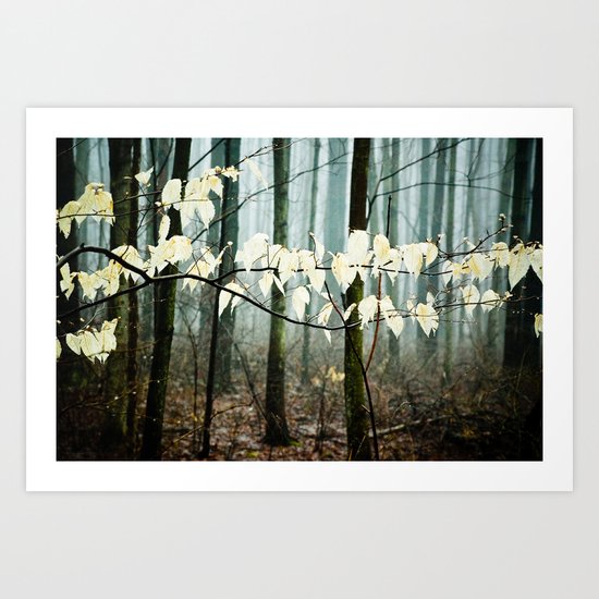Dreams of the Sun on a Rainy Day Art Print