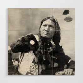 Sunflower, Dakota Sioux warrior portrait 1899 Native American tribe black and white photograph - photography - photographs Wood Wall Art