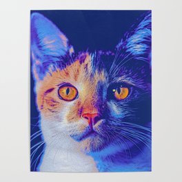 Kitty Magic - Cat-lovers Art Poster