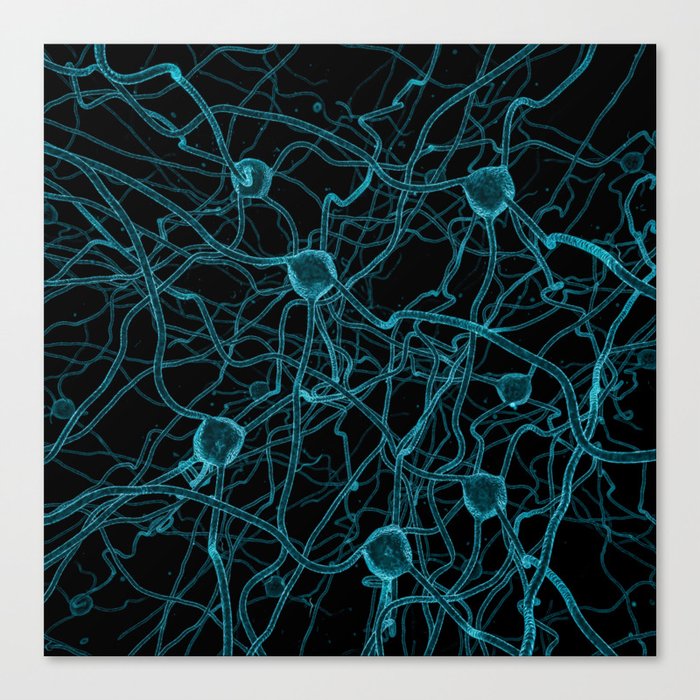 You Get on My Nerves! / 3D render of nerve cells Canvas Print