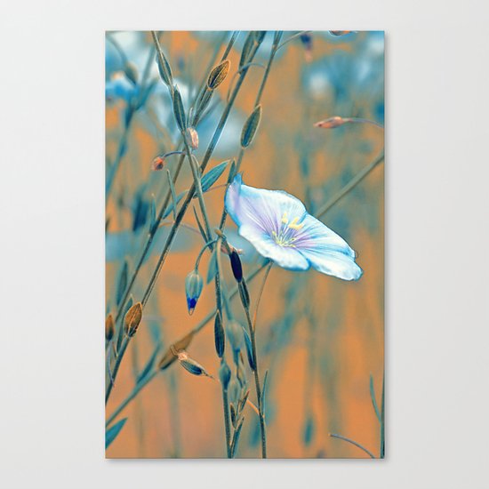 Flax(turquoise). Canvas Print