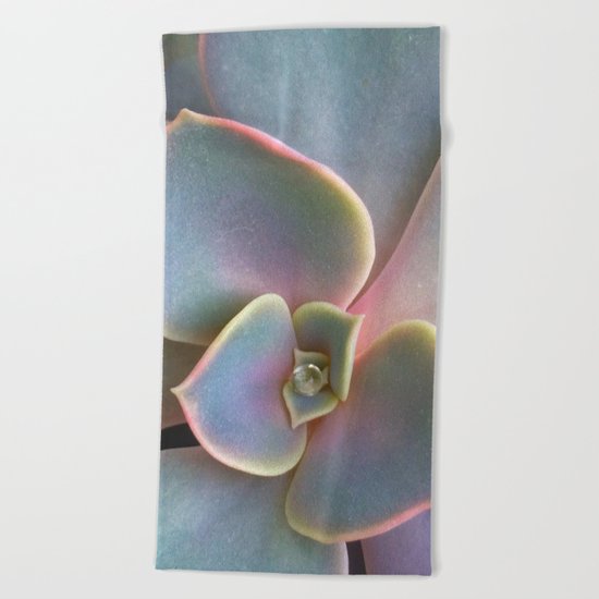 Succulent Dew Drop Beach Towel