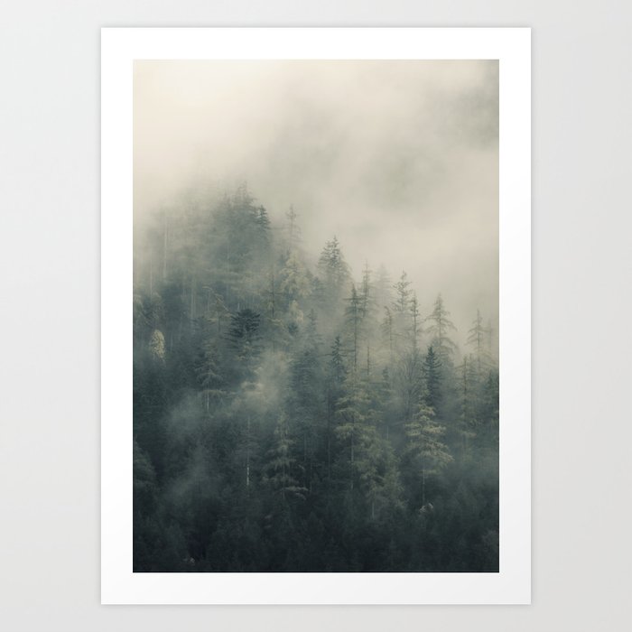 Misty Pine Forest 2 Art Print