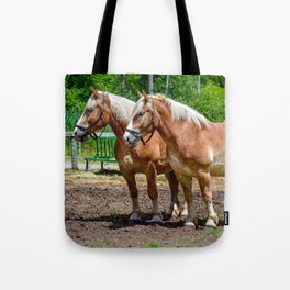 "Equine Duo" Tote Bag