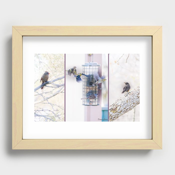 Birds Recessed Framed Print