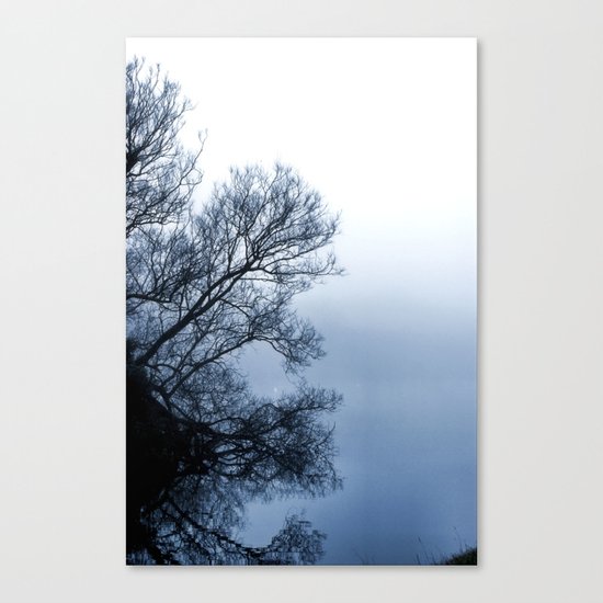 Swans in the Mist Canvas Print