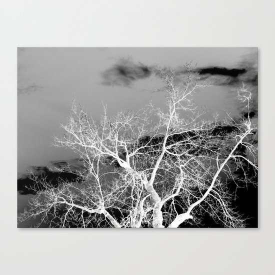 Go Ahead and See Canvas Print