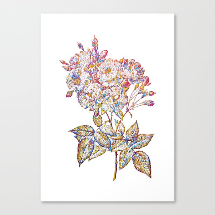 Floral Noisette Roses Mosaic on White Canvas Print