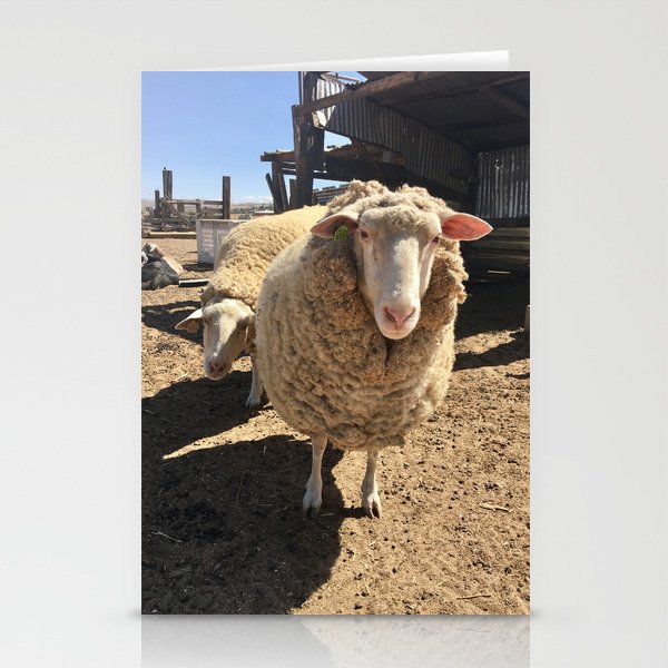 california sheep Stationery Cards