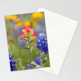 Texas Wildflowers - Indian Paintbrush, Bluebonnet Stationery Cards