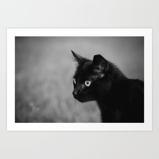 Black Cat Art Print