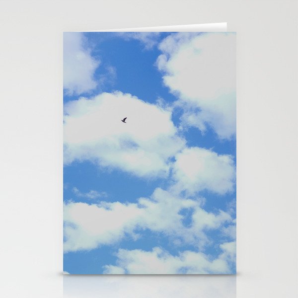 Flying solo Stationery Cards