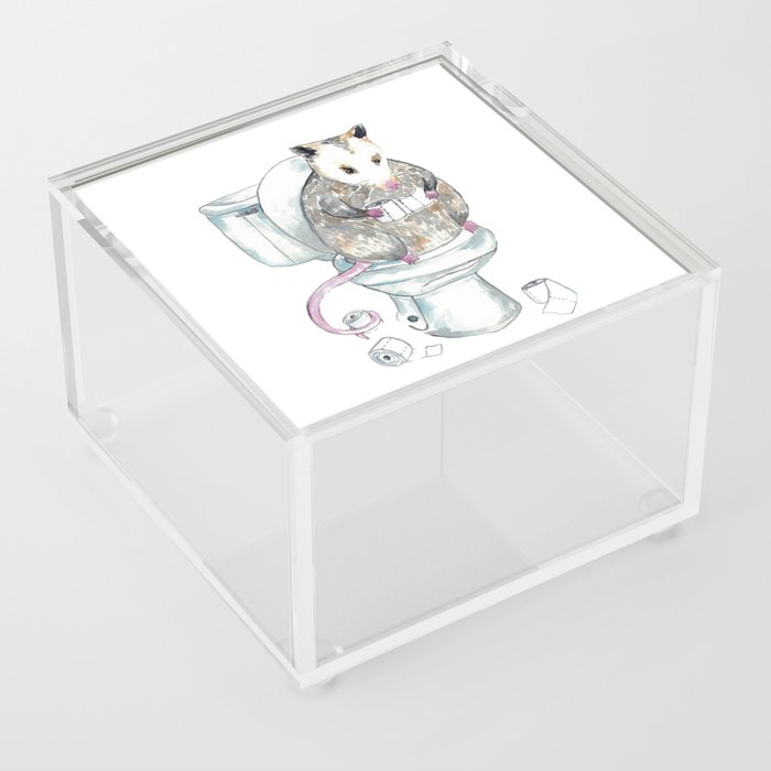 Opossum toilet Painting Wall Poster Watercolor  Acrylic Box
