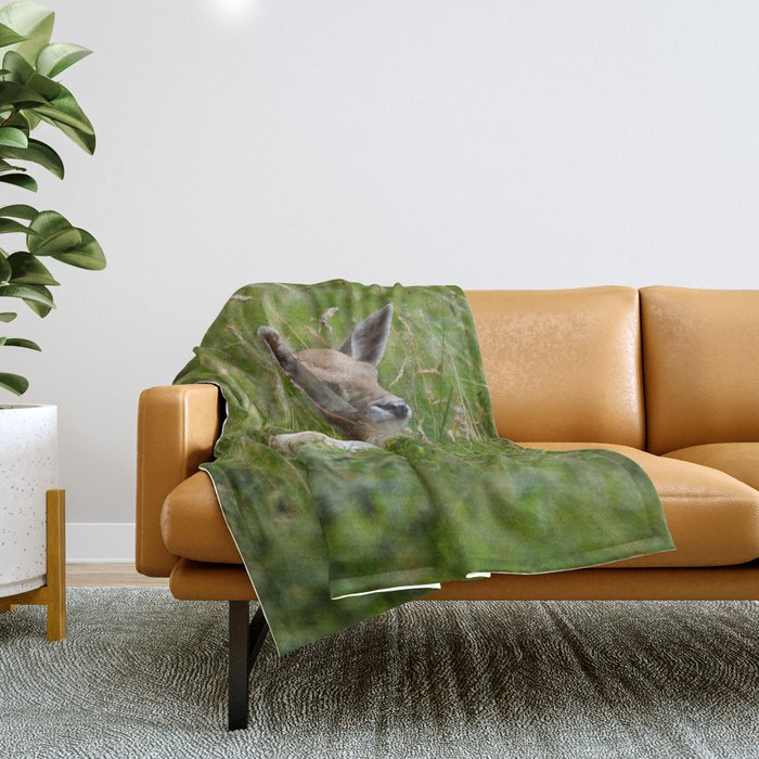 Fawn hotsell throw blanket