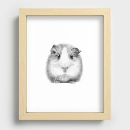 Guinea Pig Recessed Framed Print