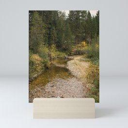 Autumn Creek Mini Art Print