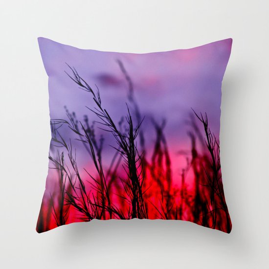 Colors to the West Throw Pillow
