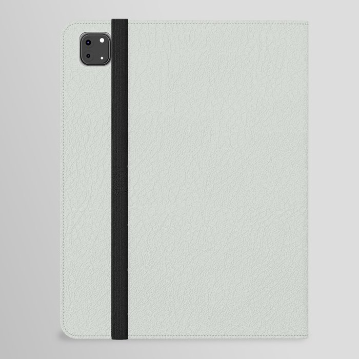 Light Gray Solid Color Pantone Zephyr Blue 12-5603 TCX Shades of Green Hues iPad Folio Case