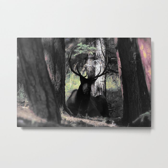 King of the forest Metal Print