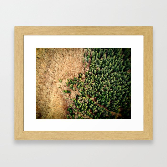 Aerial view of spruce forest landscape Framed Art Print