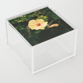 Hibiscus Acrylic Box