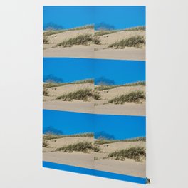 Sand Dune Beach Coastal Landscape Wallpaper