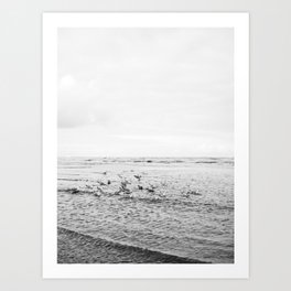 Seagulls II  | Fine art black and white beach photography | The Netherlands Art Print