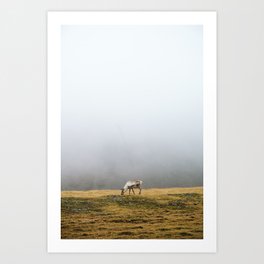Reindeer in Iceland Art Print