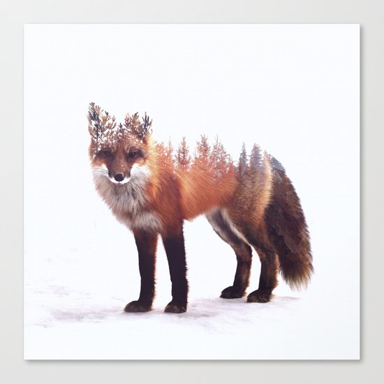Fox Canvas Print