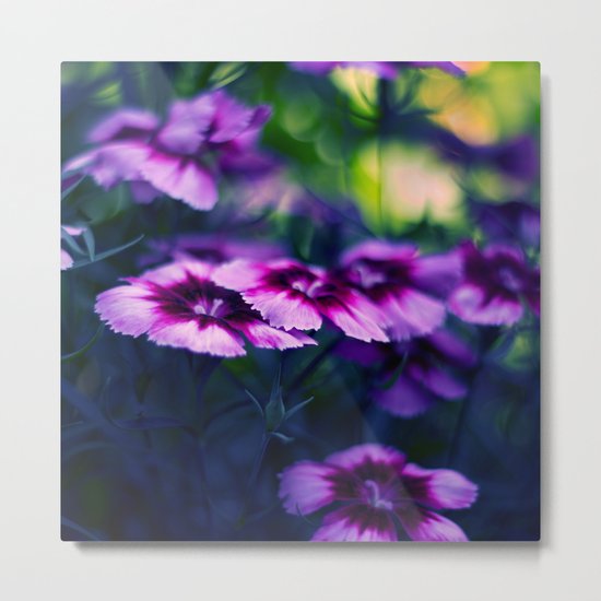 Colors Within Metal Print