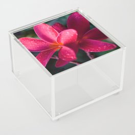 Plumeria Pink Pua Melia ke Aloha Maui Acrylic Box