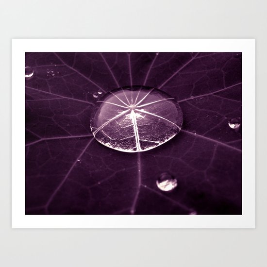 purple water drop XVI Art Print