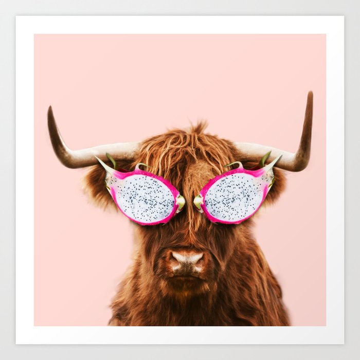 Relaxing Highland cattle with fruits mask in pink Art Print