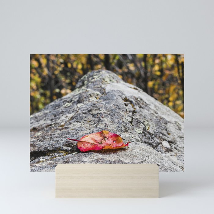 Autumn Leaf Mini Art Print