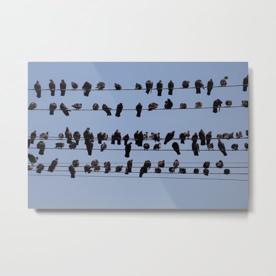 Black Birds Metal Print
