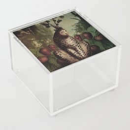 A tiger that loves strawberries Acrylic Box