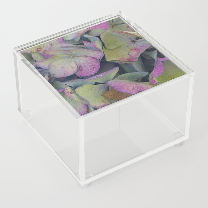Hydrangea flowers imperfect blue and green Acrylic Box