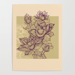 Lotus flower colors Poster