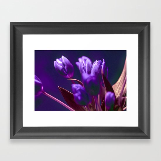 VIOLET TULIPS Framed Art Print