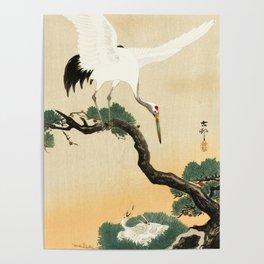 Crane and its chicks on a pine tree  - Vintage Japanese Woodblock Print Art Poster