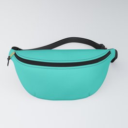 Turquoise Solid Color Popular Hues Patternless Shades of Cyan Collection Hex #30d5c8 Fanny Pack | Cyansolid, Aqua, Cyansolids, Graphicdesign, Solid, Solidcyan, Shadesofcyan, Turquoise, Allcolour, Blue Green 