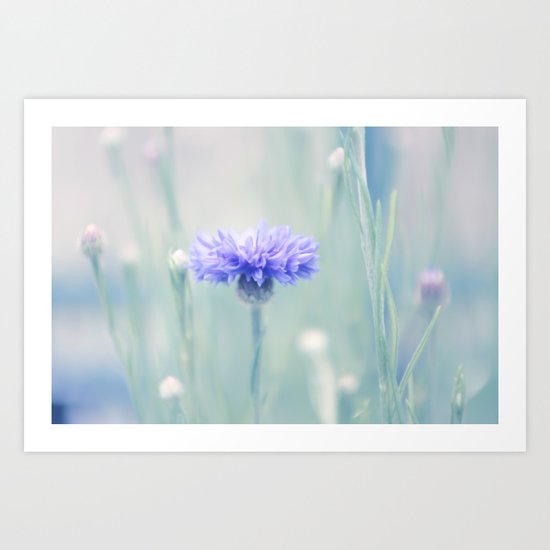 Hidden secrets Art Print