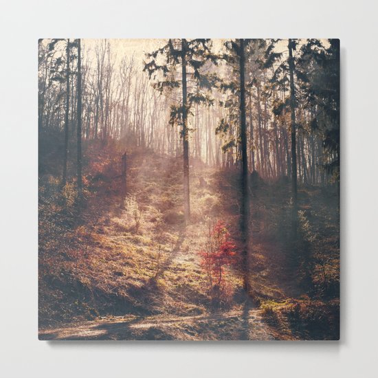 Little Red Tree Metal Print