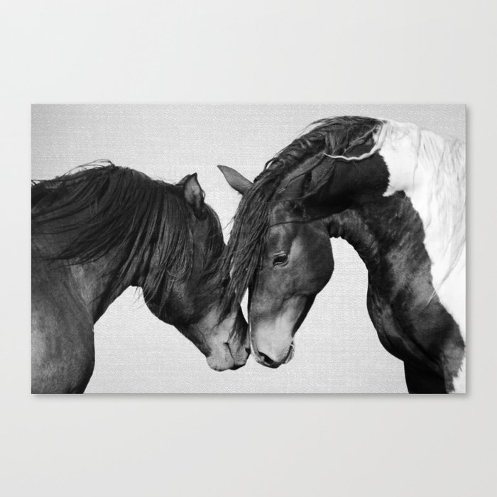 Horses - Black & White 4 Canvas Print