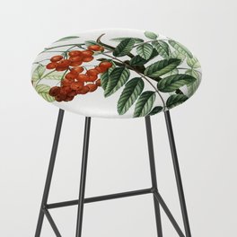 Mountain Ash (Sorbus Aucuparia) Bar Stool