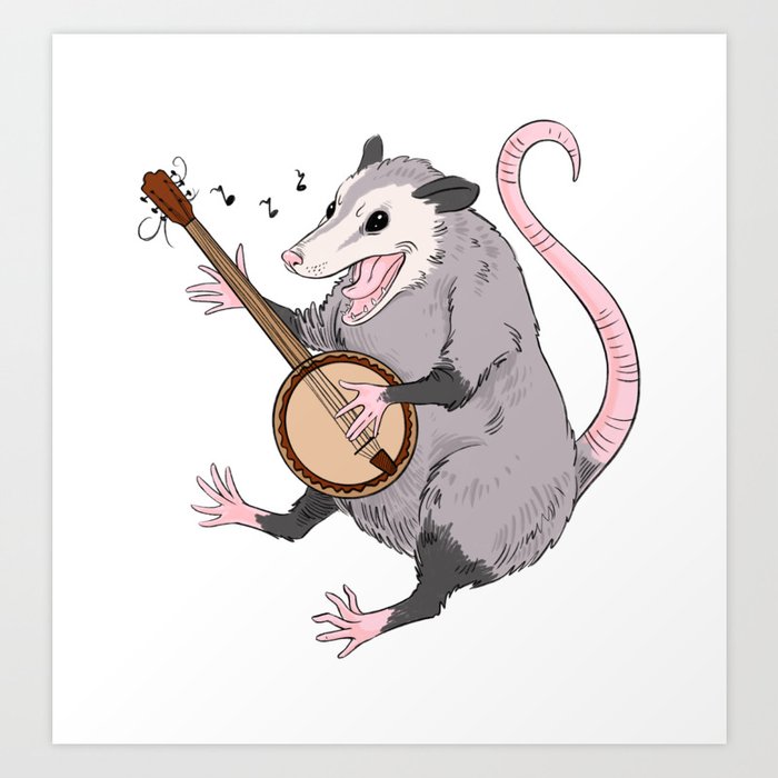 Possum Playing Banjo Art Print